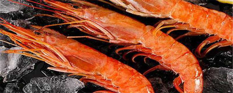阿根廷红虾可以生吃吗 阿根廷红虾不能和什么吃