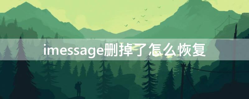 imessage删掉了怎么恢复