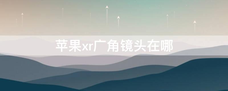 iPhonexr广角镜头在哪