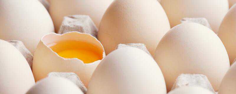 鸡蛋壳能吃吗 鸡蛋壳能吃吗有什么作用