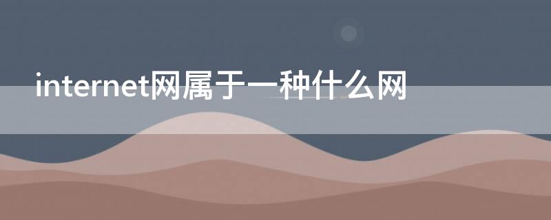 internet网属于一种什么网