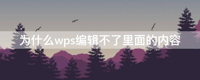 为什么wps编辑不了里面的内容