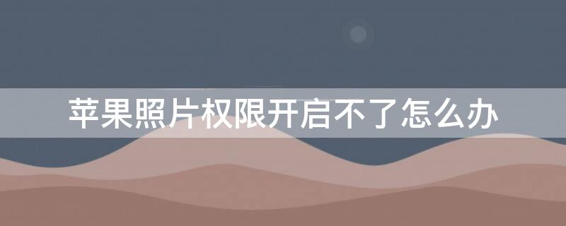 iPhone照片权限开启不了怎么办