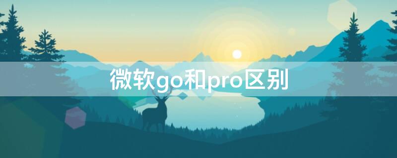 微软go和pro区别