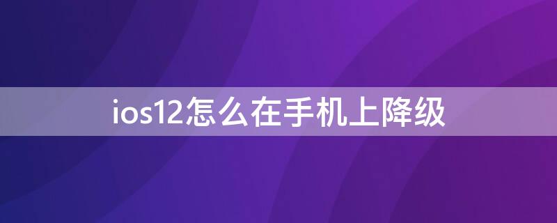 ios12怎么在手机上降级