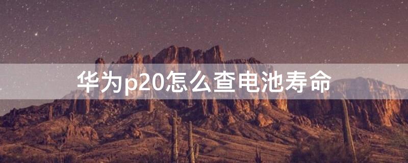 华为p20怎么查电池寿命