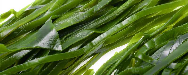 海带是怎么繁殖的(海带是什么繁殖方式)