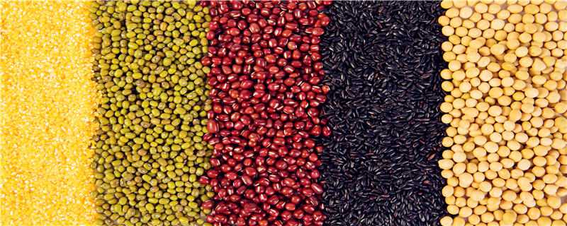 杂粮生虫应该怎么办 杂粮生虫子