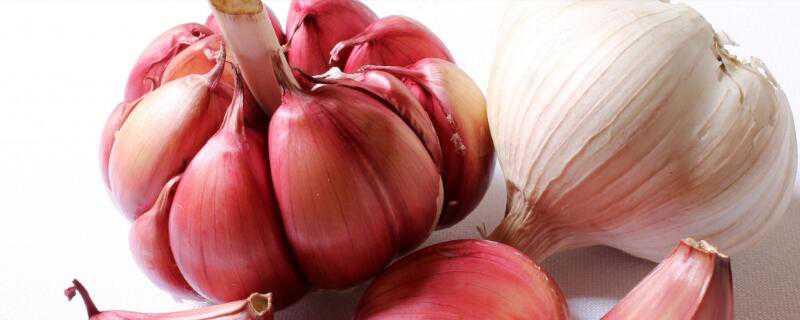 蒜头可以生吃吗（蒜头可以生吃吗?）