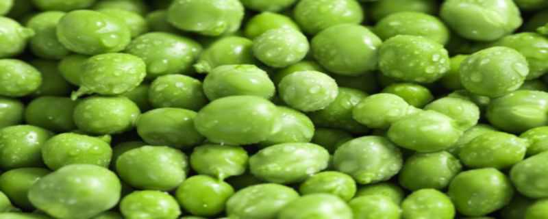 豌豆和黄豆的区别 黄豆和小豌豆的区别