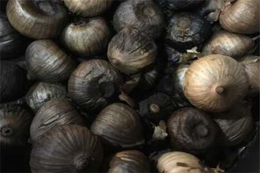 黑蒜的价格多少钱一斤(黑蒜的价格是多少)