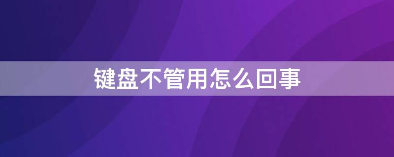 键盘不管用怎么回事