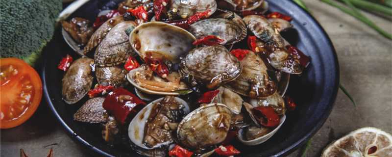 花蛤和青蛾的区别(花蛤与青蛾的哪个好吃)