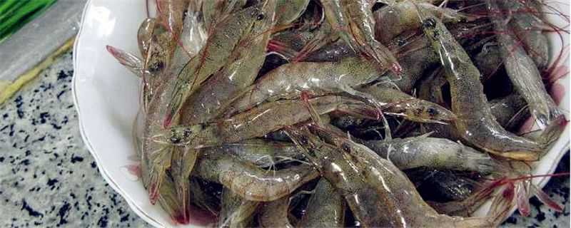 河虾可以生吃吗 河虾可以生吃吗?