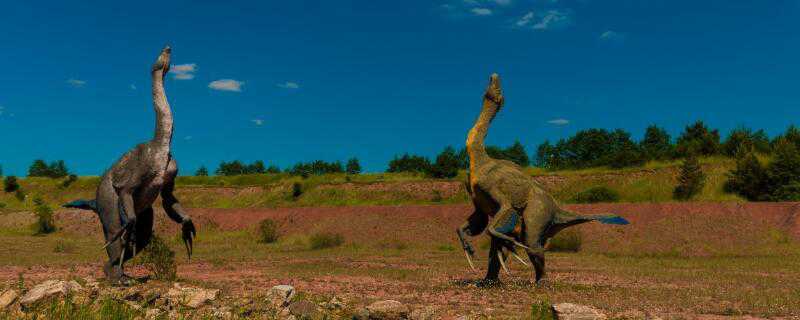 食肉恐龙和食草恐龙的区别（食肉恐龙和食草恐龙的区别在哪里）