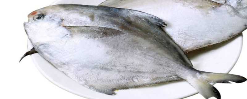 扁鱼是淡水鱼还是海鱼 扁鱼都是有什么鱼