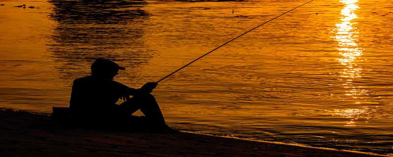 钓鲤鱼饵料配方 如何自制鲤鱼饵料