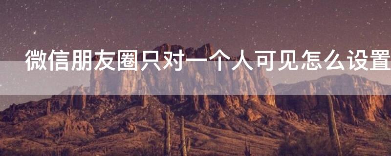 微信朋友圈只对一个人可见怎么设置