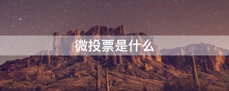微投票是什么