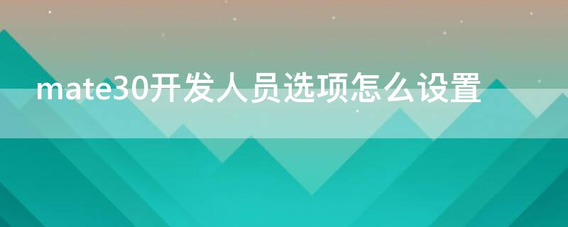 mate30开发人员选项怎么设置