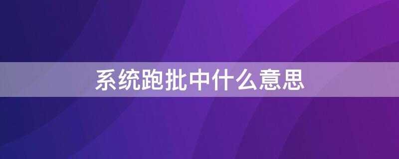 系统跑批中什么意思