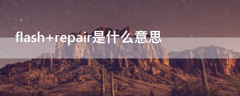 flash repair是什么意思