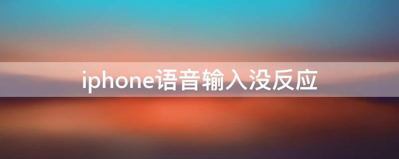 iPhone语音输入没反应
