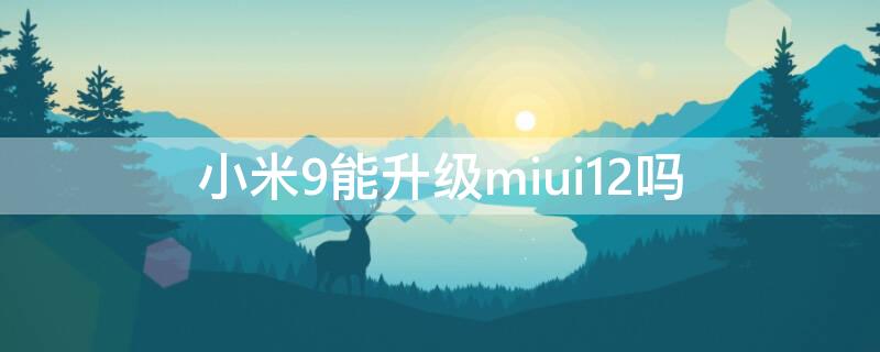 小米9能升级miui12吗