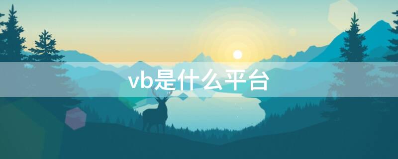 vb是什么平台