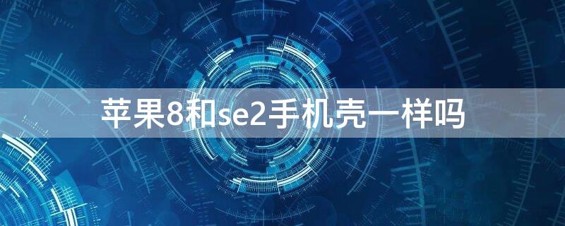 iPhone8和se2手机壳一样吗