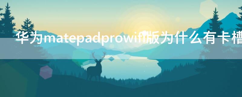 华为matepadprowifi版为什么有卡槽
