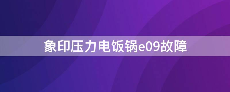 象印压力电饭锅e09故障