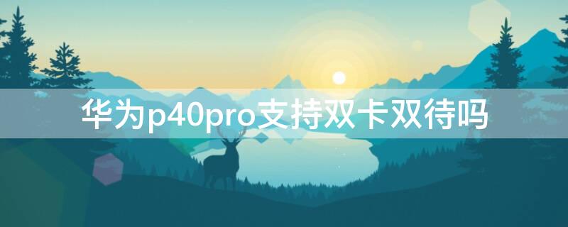 华为P40支持双卡双待吗