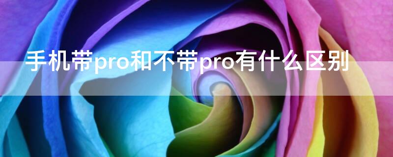 手机带pro和不带pro有什么区别