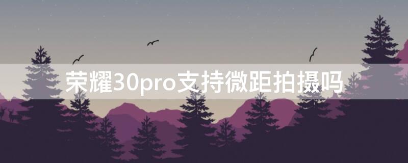 荣耀30pro支持微距拍摄吗