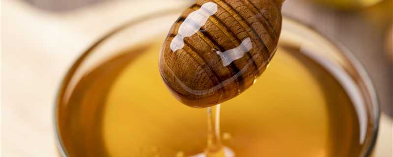 蜂蜜的品种有哪些 蜂蜜的品种有哪些图片