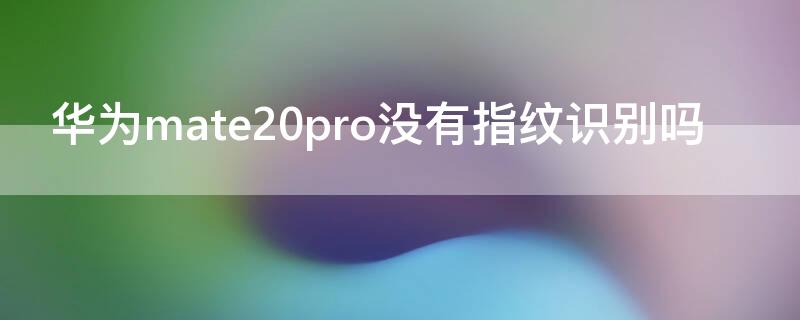 华为mate20pro没有指纹识别吗