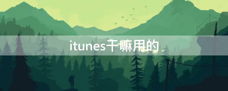 itunes干嘛用的