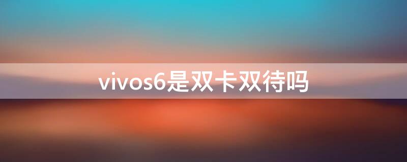 vivos6是双卡双待吗