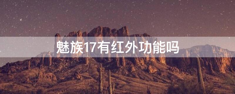 魅族17有红外功能吗