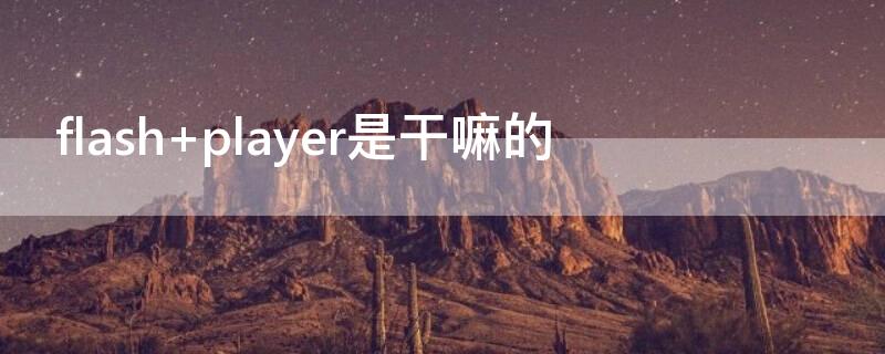 flash player是干嘛的