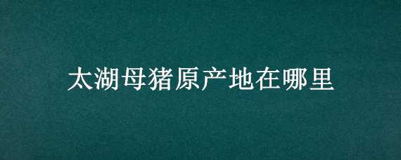 太湖母猪原产地在哪里 太湖母猪产自哪里