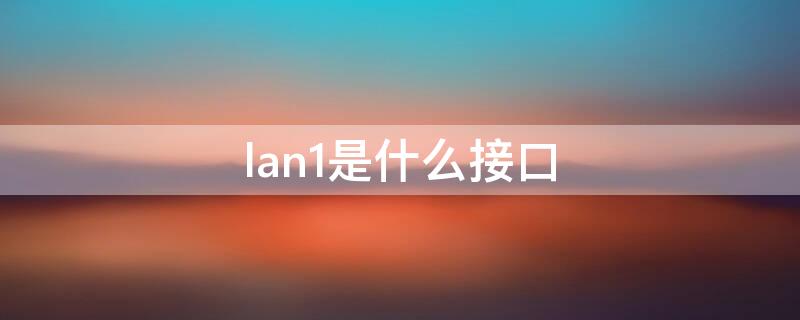 lan1是什么接口（路由器lan1是什么接口）