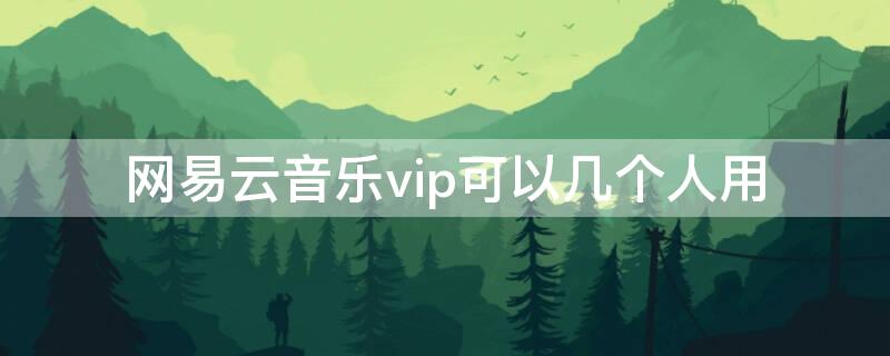 网易云音乐vip可以几个人用（网易云音乐vip可以多人共享吗）