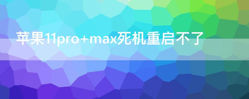 iPhone11pro max死机重启不了