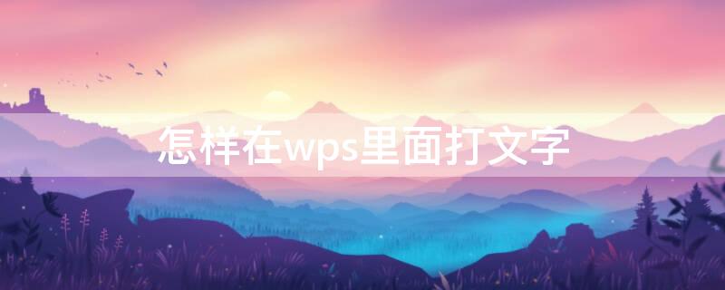 怎样在wps里面打文字