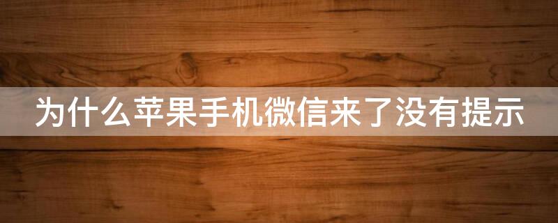 为什么iPhone手机微信来了没有提示（为什么苹果手机微信电话来了没有提示）