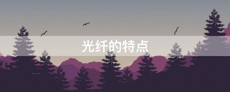 光纤的特点