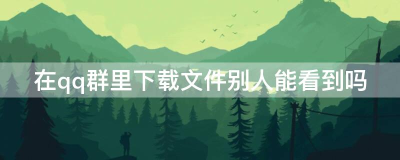 在qq群里下载文件别人能看到吗（qq群里发的文件下载了别人能看到吗）