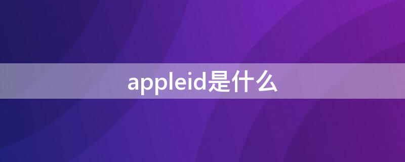 appleid是什么（appleid是什么意思怎么填）